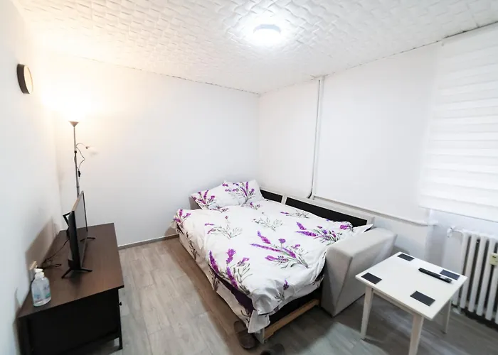 Arad City Center Comfortable Apartment