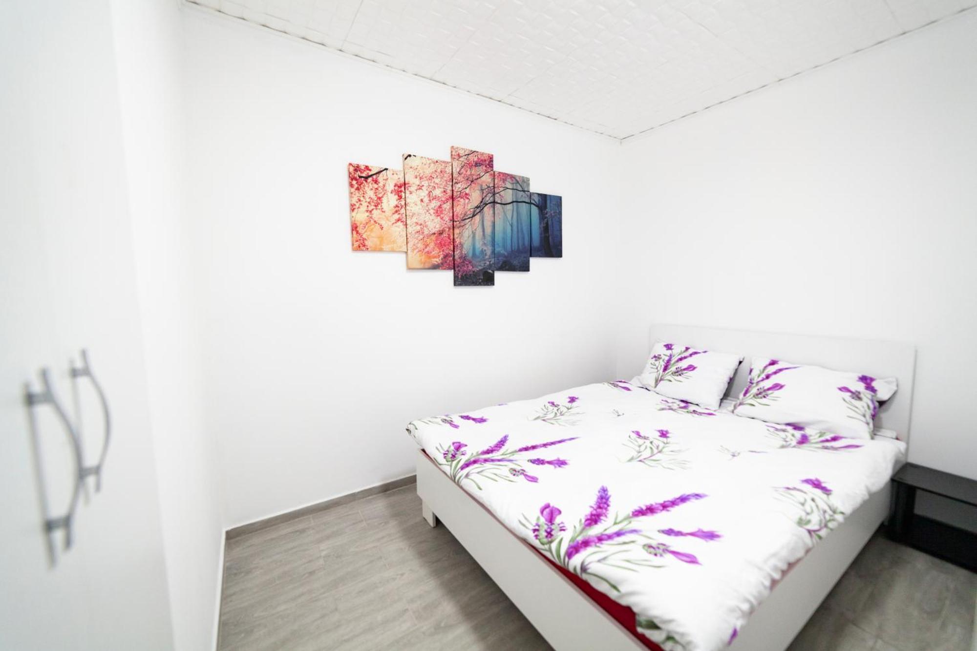 Apartment Center Comfortable Arad
